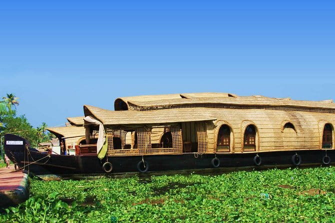 Private Kerala Backwater Houseboat Day Cruise with Lunch from Cochin - Key Highlights You’ll Care About