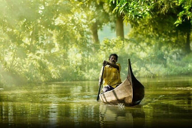 Private Kerala Backwater Houseboat Day Cruise with Lunch from Cochin - Lunch, Tea, and Snacks: What Included Actually Means