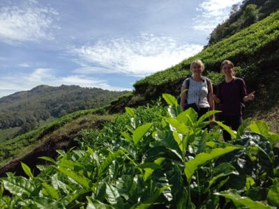 Private Munnar Tea Trek - KSRTC Depot Meet-Up and the Drive Into the Tea Estate