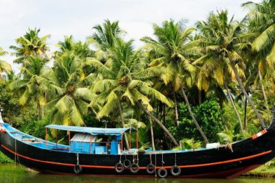 Private Overnight Alleppey Houseboat Cruise from Kochi - Day 1 on Vembanad Lake: Villages, Fort Kochi Beach, and Slow Travel