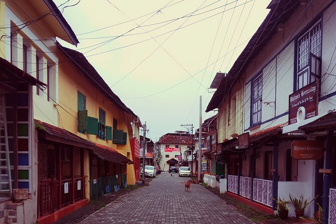 Private Tour : Glimpse of Kochi - Stop 3: Chinese Fishing Nets (Short Stop, Big Signature Sight)