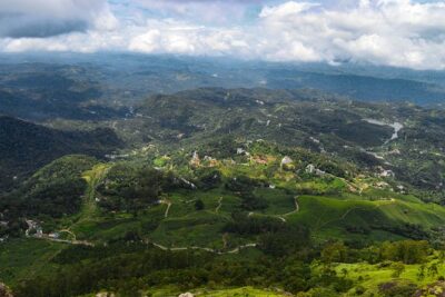 Scenic Kerala : Hills, Wildlife, Backwaters & Beach Bliss- 7 Days - Munnar in a day: waterfalls you actually notice, dams you can skip, gardens you shouldn’t rush