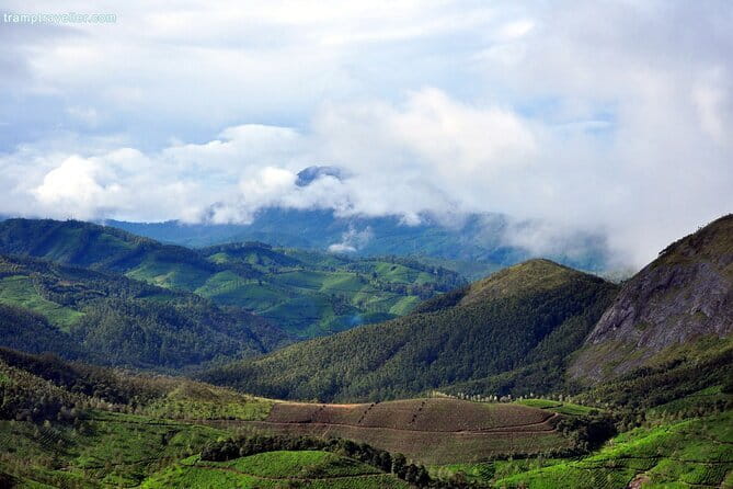 Serene Munnar Retreat: Private Tour from Kochi to the Munnar Hill - The 7:00 am Start: Comfort on the Kochi–Munnar Road
