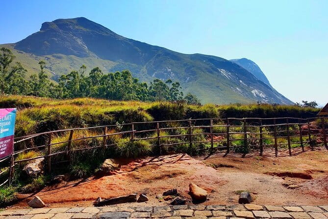 Serene Munnar Retreat: Private Tour from Kochi to the Munnar Hill - Tea Museum Time: Kannan Devan Tea Museum in Real Context