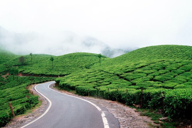 Serene Munnar Retreat: Private Tour from Kochi to the Munnar Hill - Echo Point: Panoramas for When the Air Clears