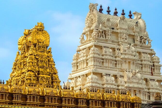 Splendid Chennai: Private Half Day Tour of Chennai - Government Museum and the photo stops that widen your view