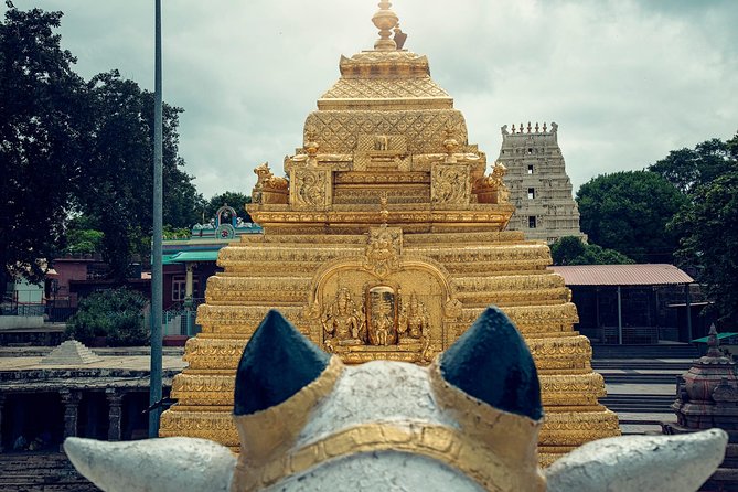 Srisailam Temple full day excursion tour - Key points I’d bookmark before you go