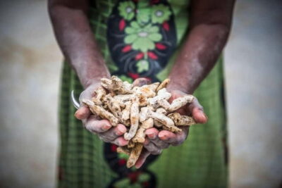 Stories of Jew Town: Guided Heritage Walk in Kochi - Cochin Spice Market: learn why spices shaped Kochi