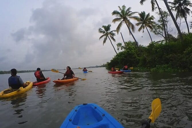 Sunset Kayaking in Hidden Alleppey Backwater Routes - Why sunset kayaking in Alleppey feels different than a typical boat trip