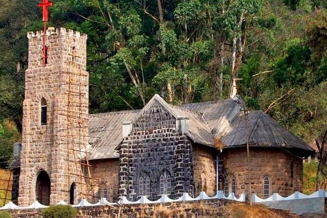 Tea plantation walk with Visit of Historical ,village & Market - How to make the most of it