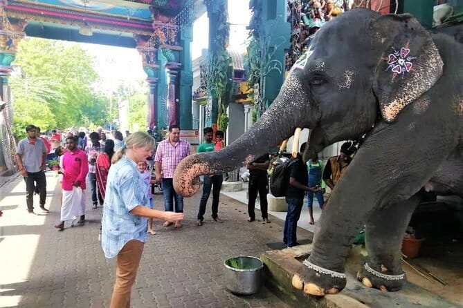 The Best of Pondicherry: A Private Sightseeing Tour - Price and value: $57 for a guided, ticketed private day