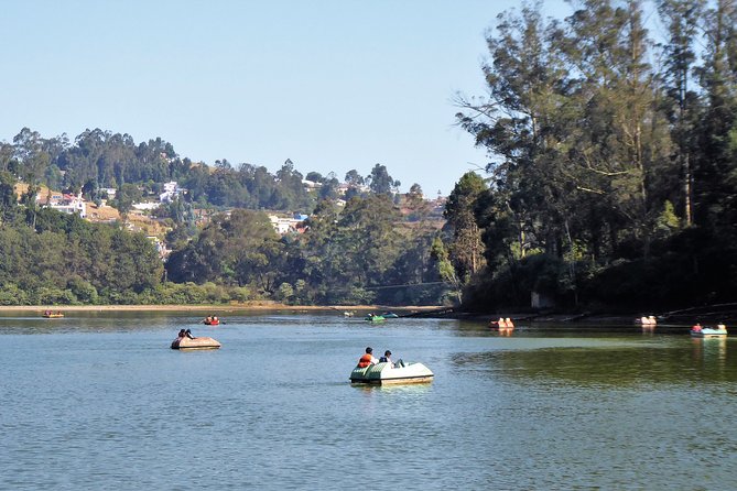 Touristic Highlights of Ooty (Guided Full Day City Sightseeing Tour by Car) - Government Rose Garden: 3,600 varieties and a good walking reset