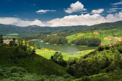 Touristic Highlights of Ooty (Guided Full Day City Sightseeing Tour by Car) - Government Botanical Garden: 55 acres with garden sections to hunt for