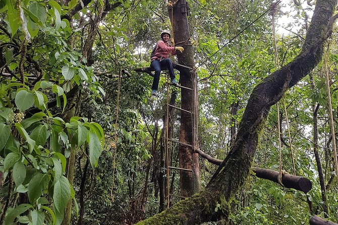 Tree Top Adventure - Tree-Top Adventure in Coorg: What the Experience Really Is