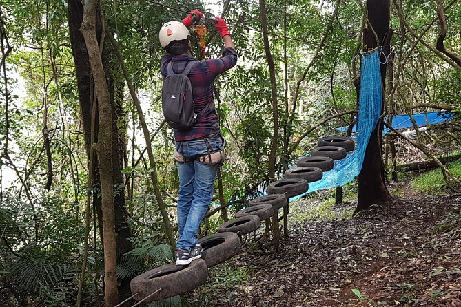 Tree Top Adventure - The One-Hour Circuit: Six Rope Challenges in the Forest