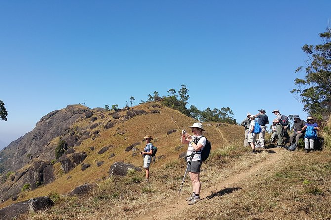 Trekking in Munnar - Quick highlights before you go