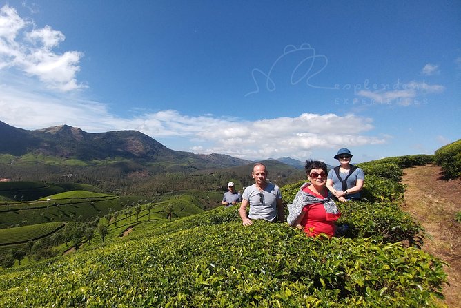 Trekking in Munnar - A 4-hour Munnar trek from 1450m to ~1950m