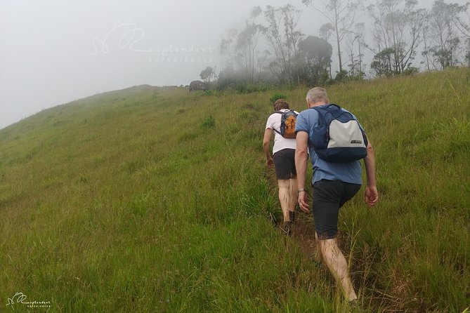 Trekking in Munnar - The picnic-style refreshment break (and why it’s planned)