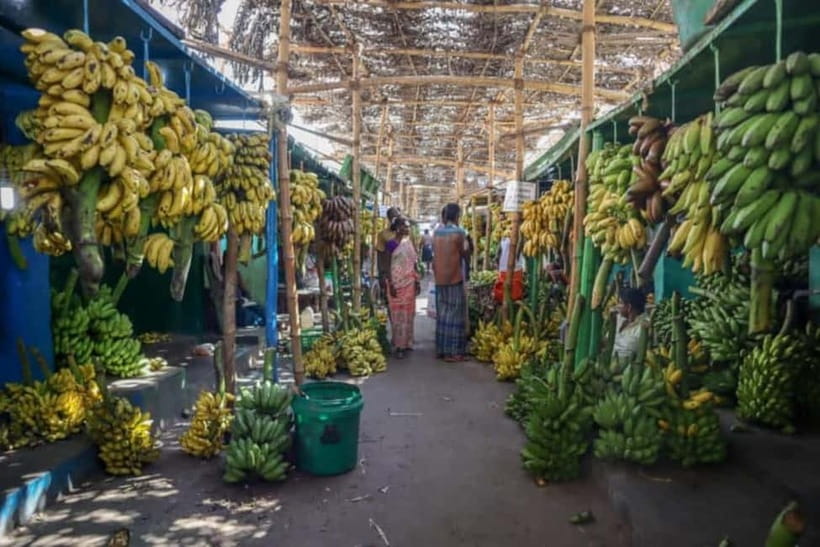 Vannakam Madurai - Explore Madurai like a local - Who should book this, and who should skip it