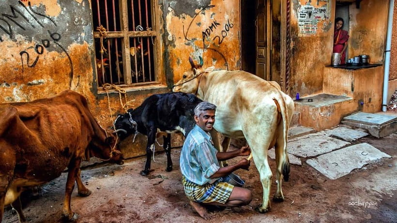 Vannakam Madurai - Explore Madurai like a local - Before you go: what to bring and what to leave out