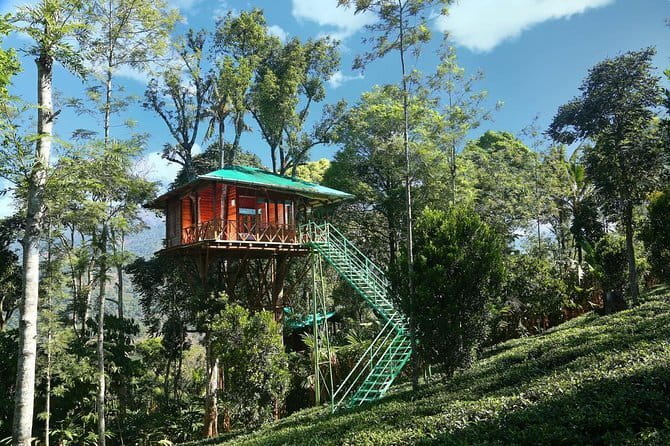 Village Walking Tour and Bird Watching - Renju’s Guide Style: English, Enthusiasm, and Bird Focus
