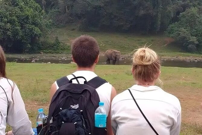 Wild Life Anakulam Jeep Safari - Munnar to Anakulam by Jeep: How the day flows
