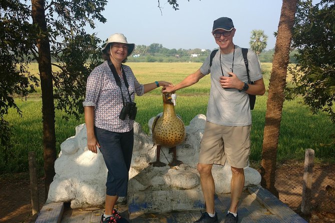Wild life tour in Chennai with guide and private car - Price and Value: What You Pay For (and Why It Usually Makes Sense)