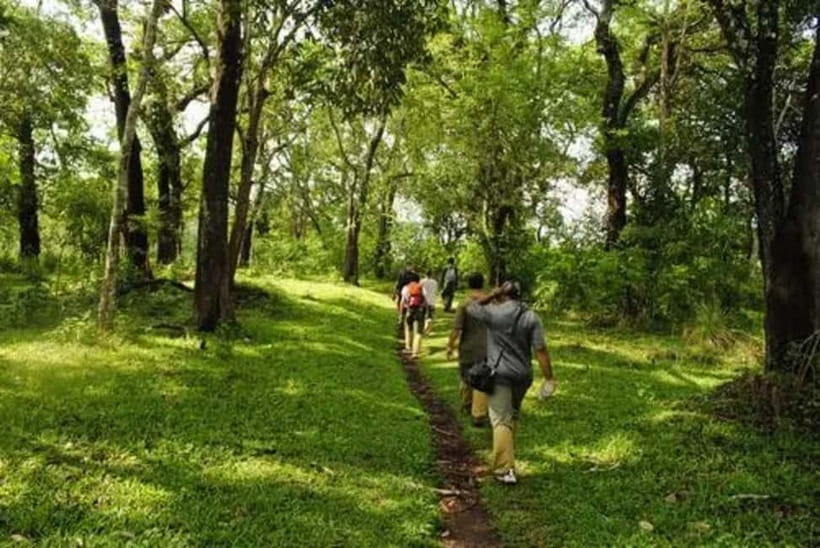 Wilderness & Culture: One Day Tour of Thekkady with Jeep !! - Price and value: what $74 covers, and what’s on you