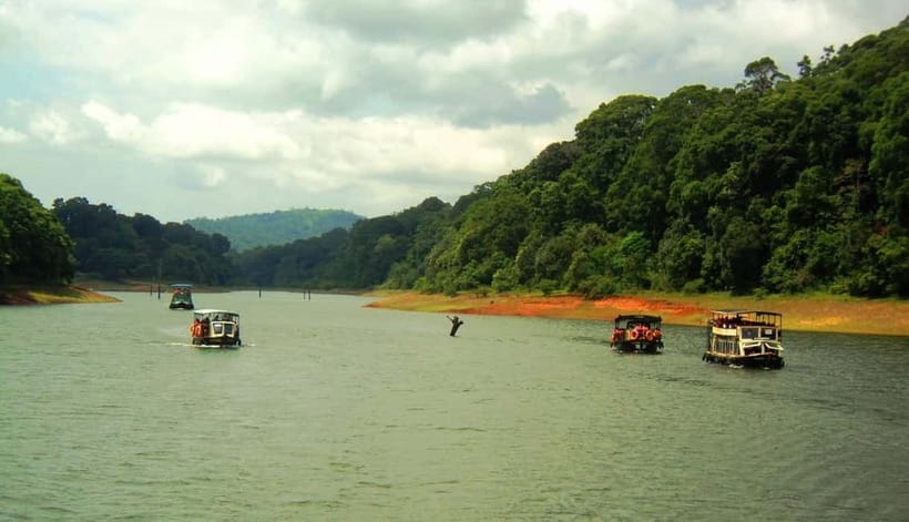 Wilderness & Culture: One Day Tour of Thekkady with Jeep !! - Jeep safari in Thekkady: the views come fast, and the ride can be bumpy